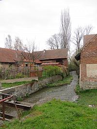 Třibřichy