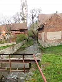 Třibřichy