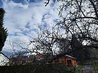 Olešná