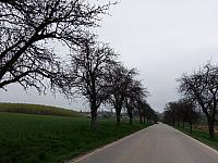 Lukovany