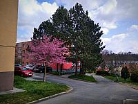Třebíč-Borovina