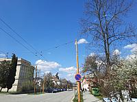 Olešná