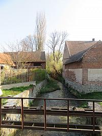 Třibřichy