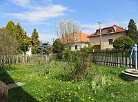 Třibřichy