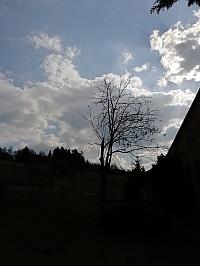 Skalité