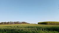 Lukovany