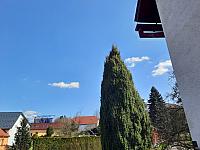 Olešná