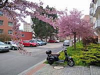 Třebíč-Borovina