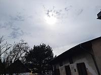Olešná