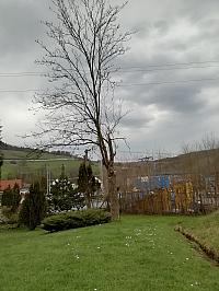 Skalité