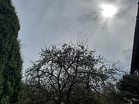 Olešná