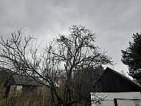 Olešná