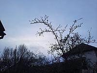 Olešná