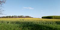Lukovany