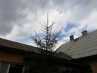 Skalité