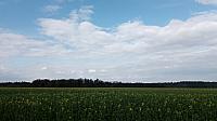 Lukovany