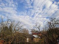 Olešná