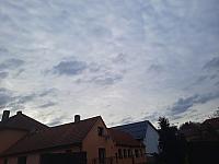 Olešná