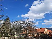 Olešná