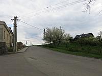 Třibřichy