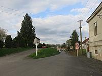Třibřichy
