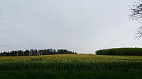 Lukovany