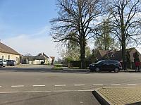 Třibřichy