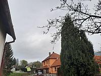 Olešná