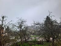 Olešná
