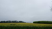 Lukovany