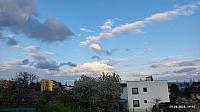 Hořice - Libonice