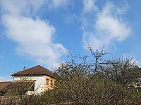 Olešná