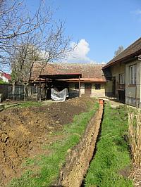 Třibřichy