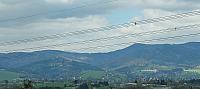 Bocanovice
