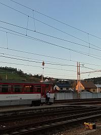Skalité