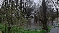 Votice