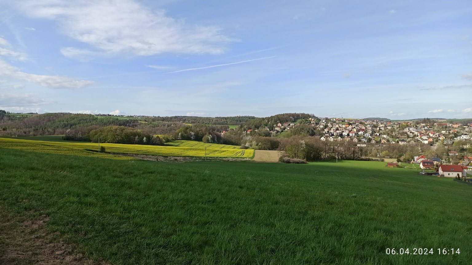 Čavisov