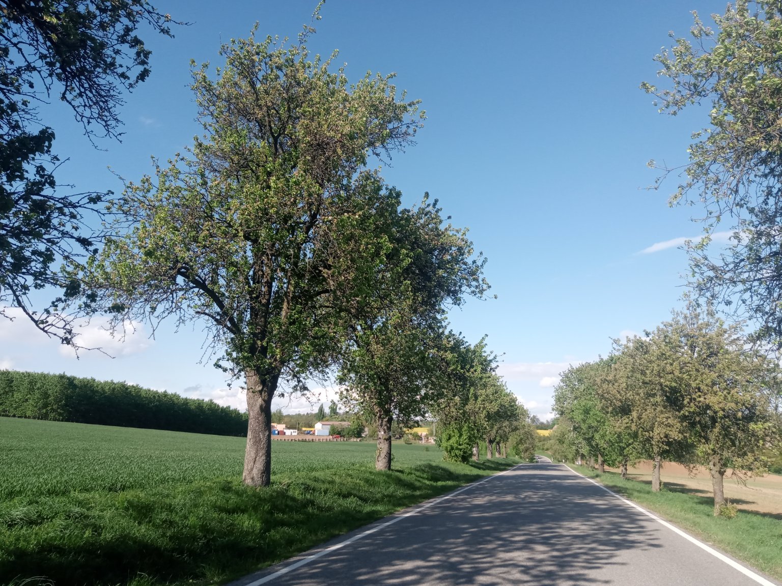 Lukovany