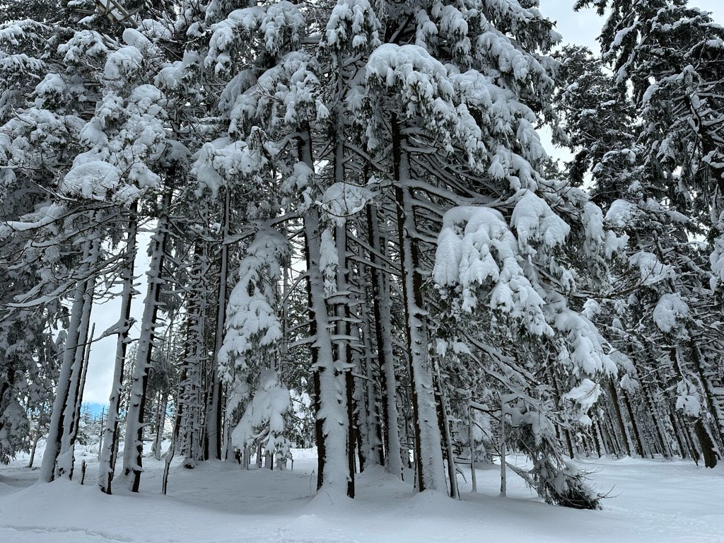 Pancíř