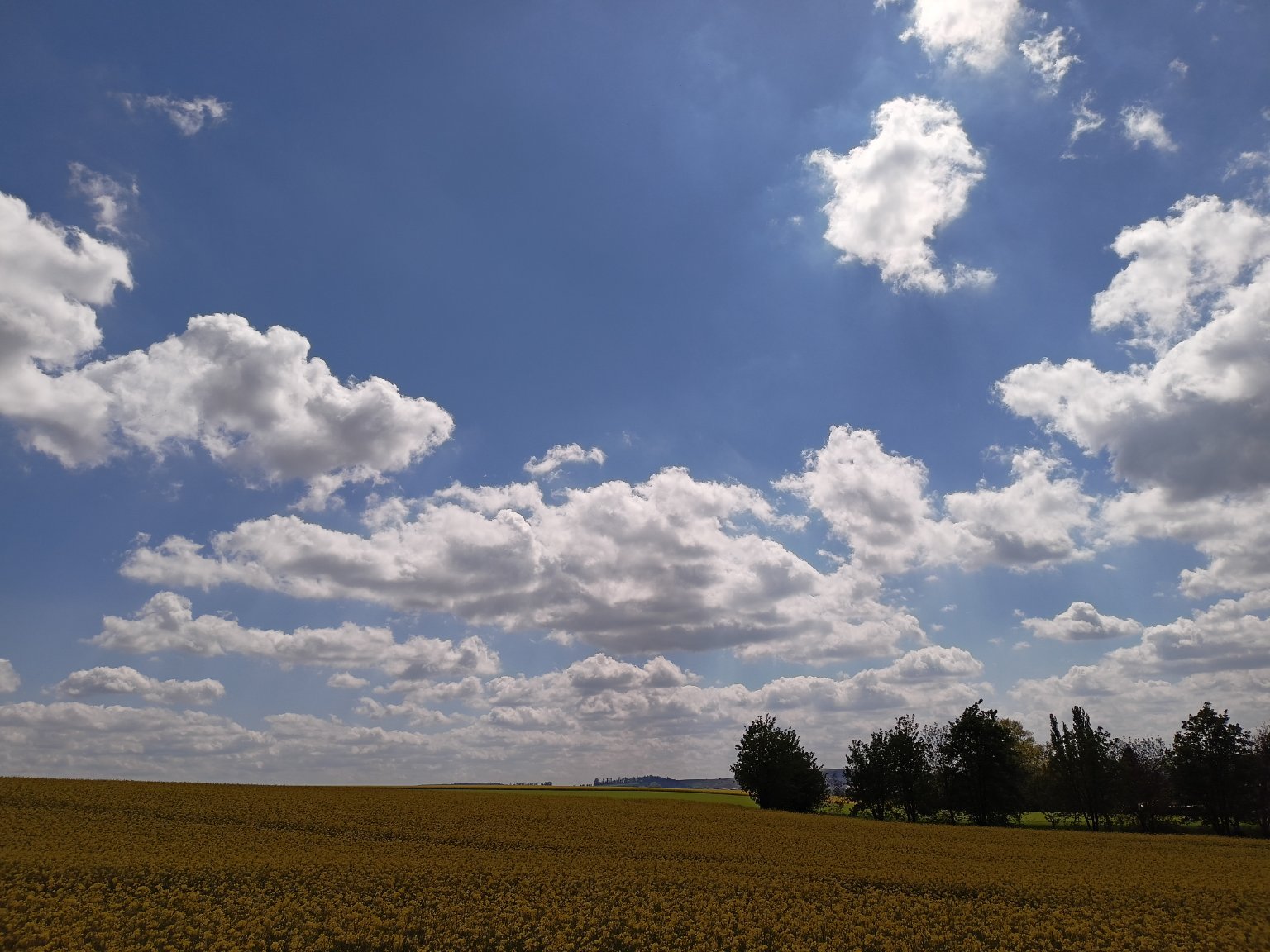 Habrovany
