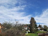 Olešná