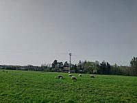 Český Těšín