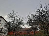 Olešná