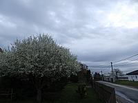 Dětenice-Brodek