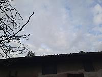 Olešná