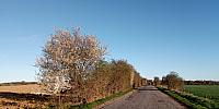 Lukovany