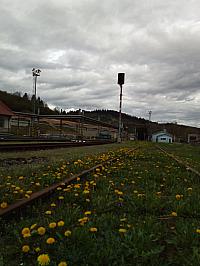 Čadca