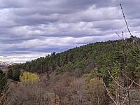 Třebíč-Borovina