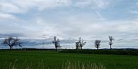 Lukovany