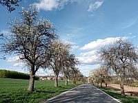 Lukovany